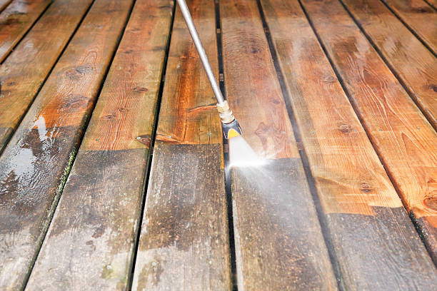 Professional Pressure Washing in Rector, AR